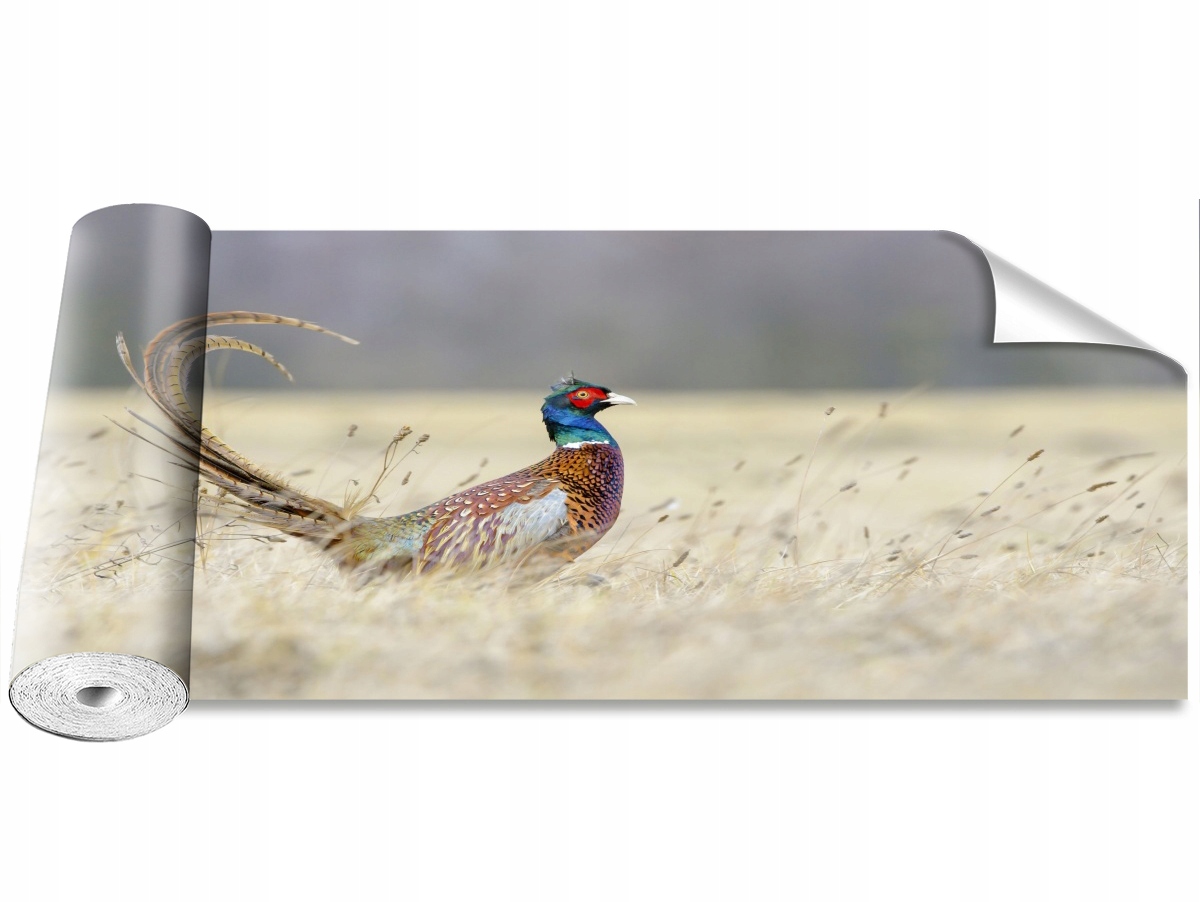 

Tapeta Samoprzylepna MagicStick Bażant 250x104