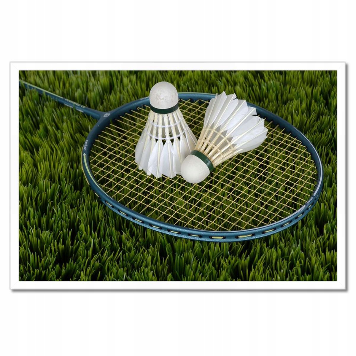 Plakáty v rámu 60x40 Badminton Lotka Raketa