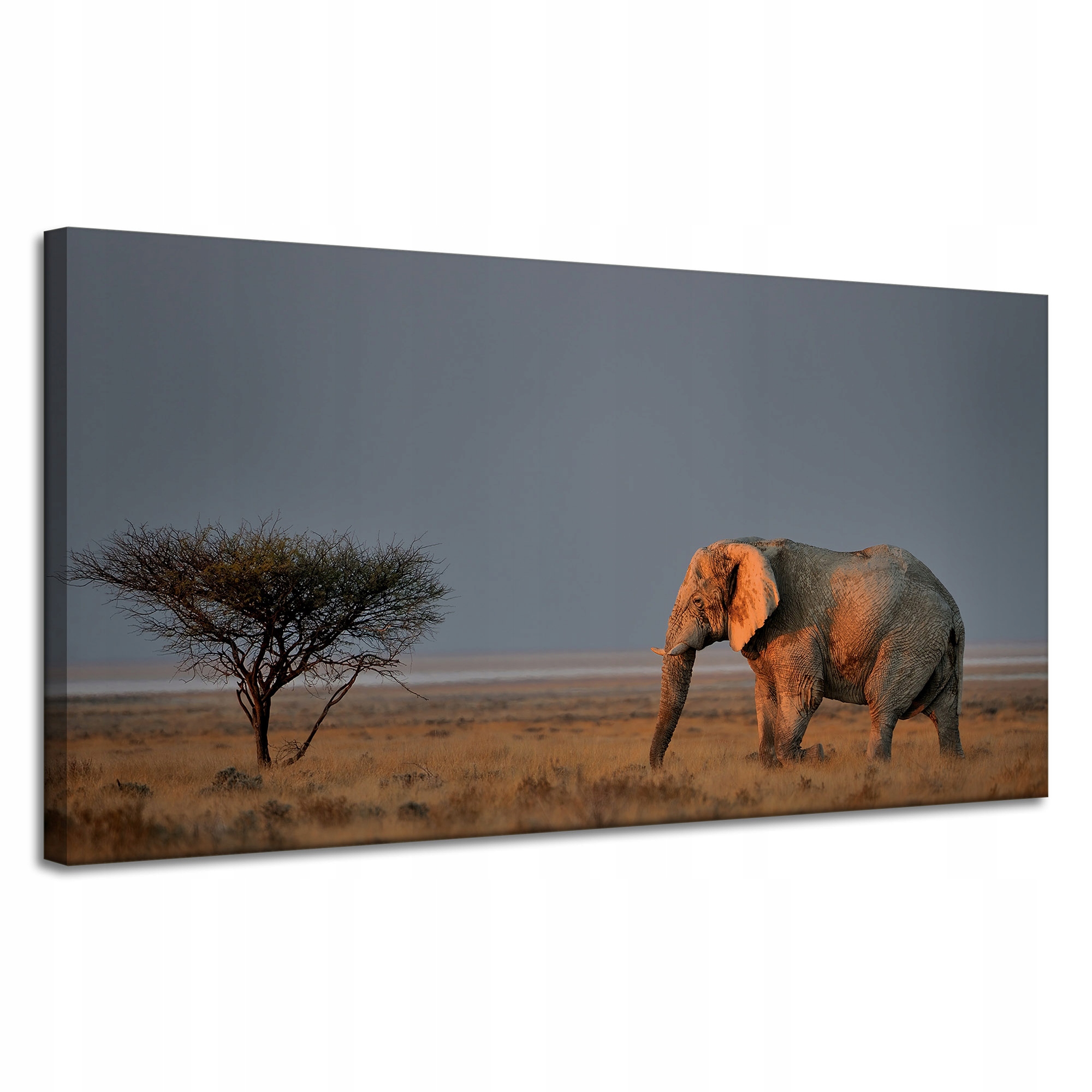 Obraz na plátně Slon Savana Afrika Nebe Tráva 120x60 cm