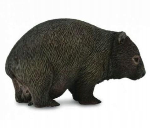 

Wombat