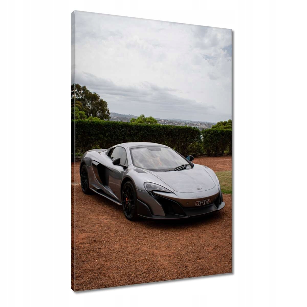 Obrazy 60x90 Auto