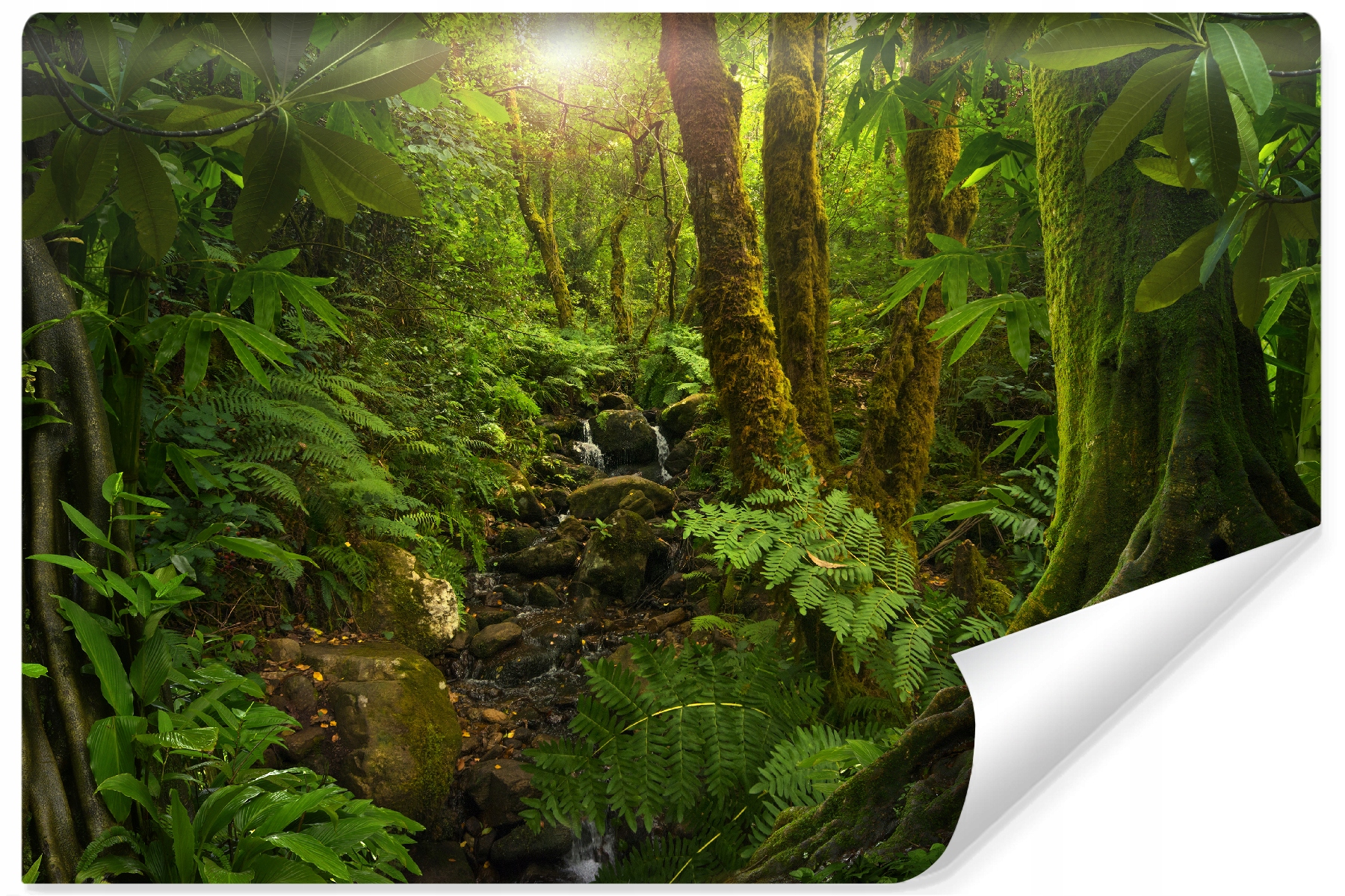 Fototapeta do obývacího pokoje Les Skály Krajina 400x280