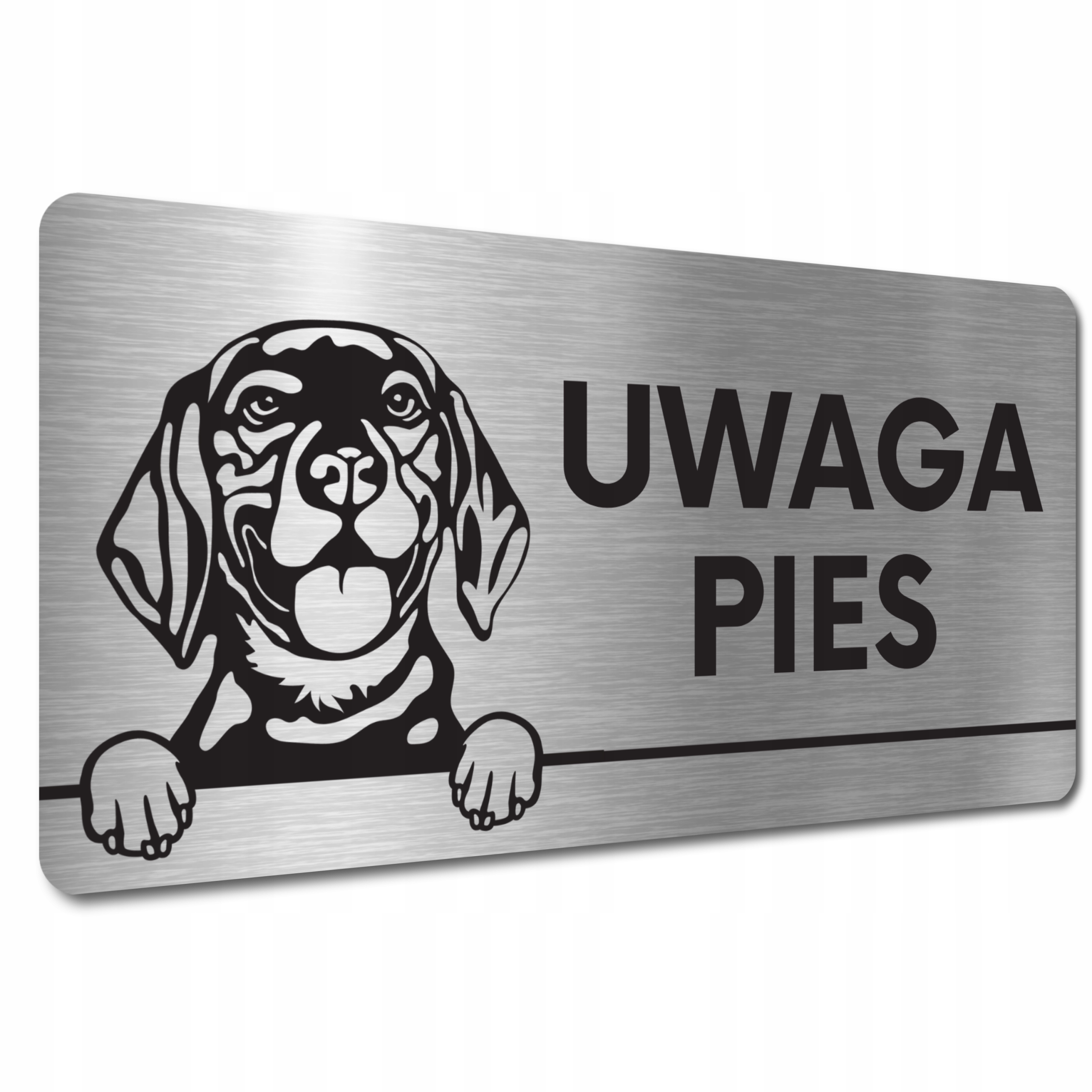

Tabliczka Uwaga Pies Beagle Tabliczka Zły Pies