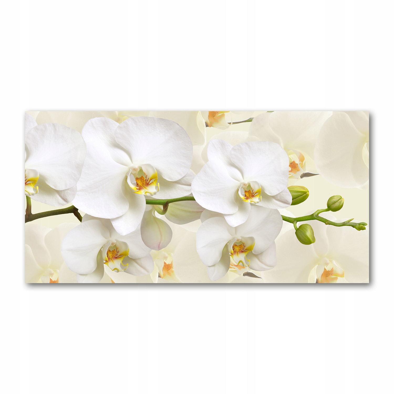 

Foto obraz duży akryl nowoczesny Orchidea 120X60cm