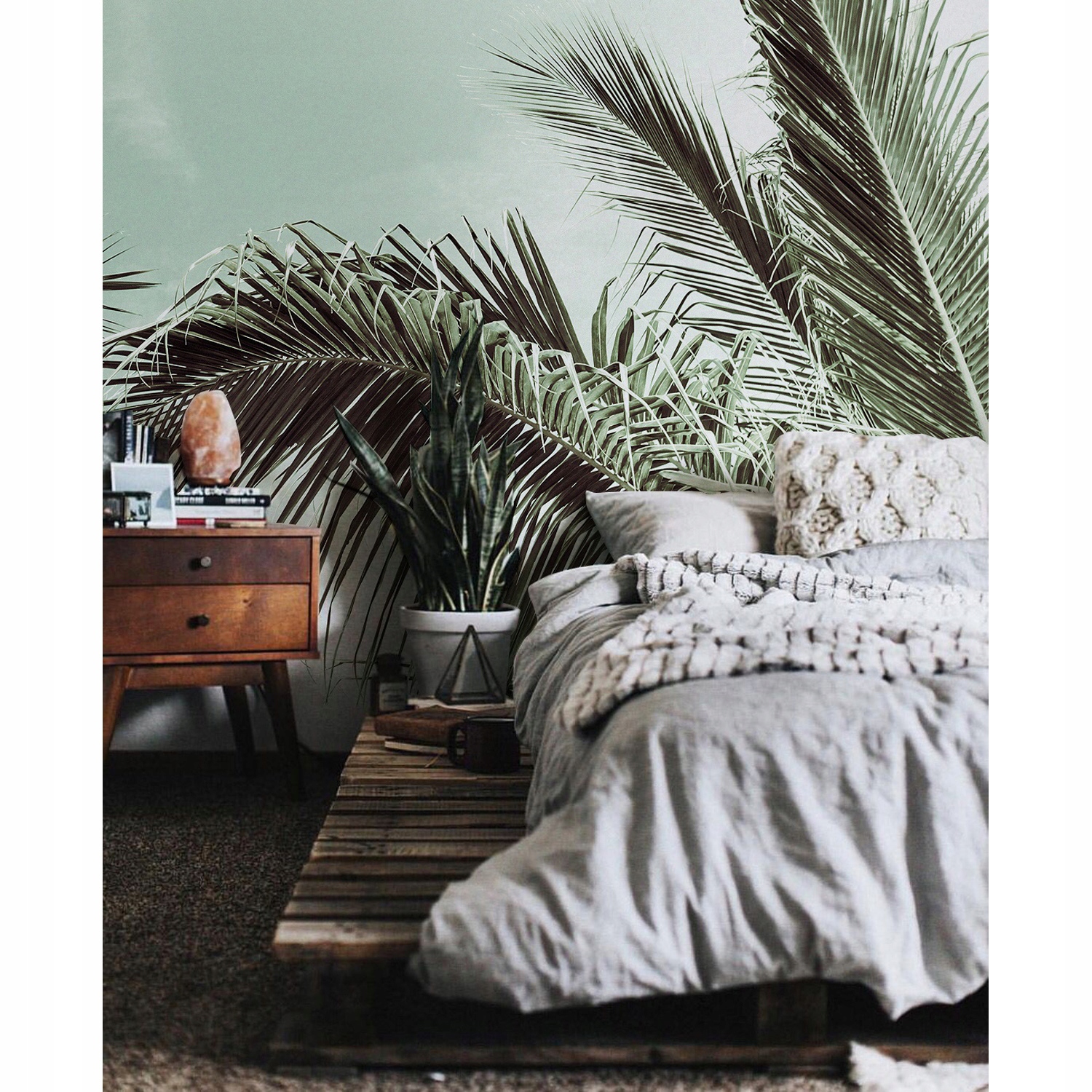 

Fototapeta flizelina Monstera palmy 104x70 + klej
