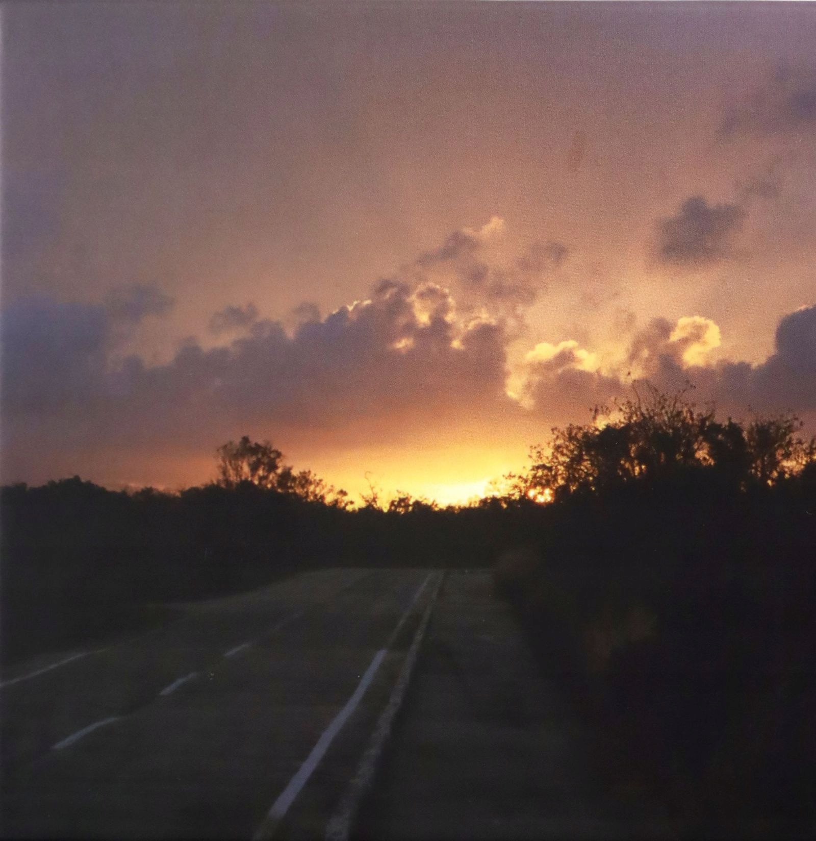 Celer: Future Predictions (CD)
