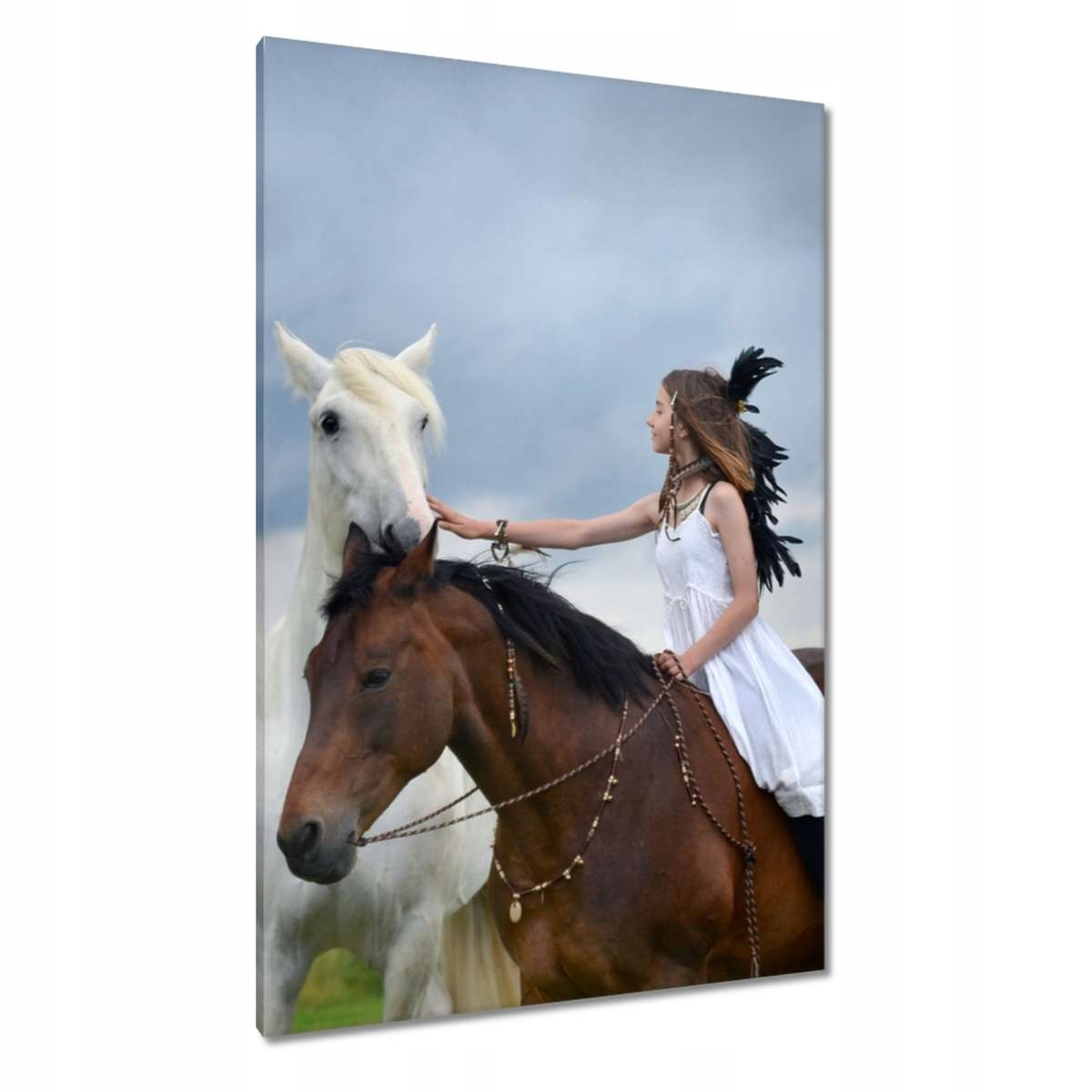 Obrazy 80x120 Kůň Jezdectví
