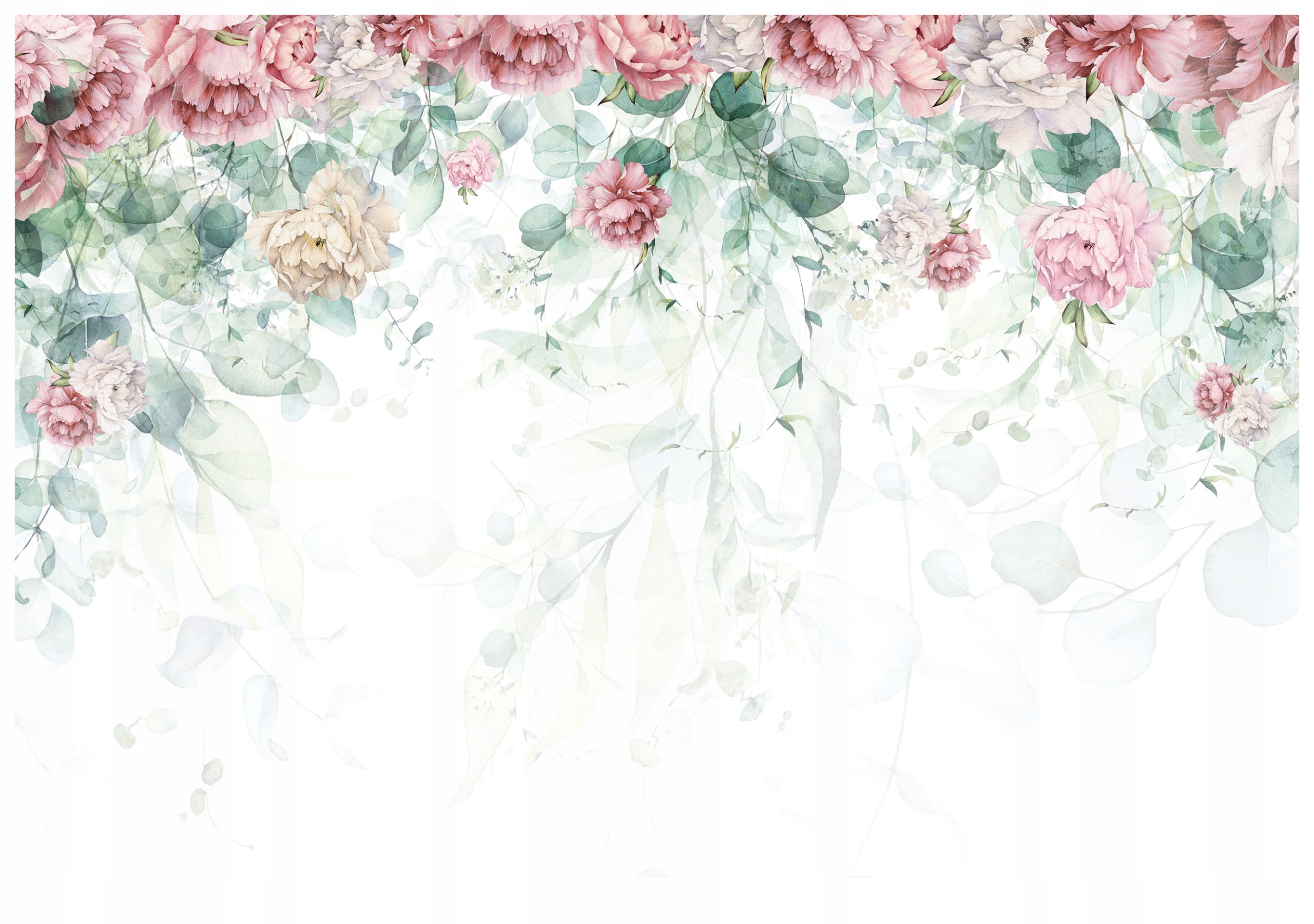 Fototapeta Květinová neobvyklost Pivoňky a karafiáty na bílém 368x254 lepidlo