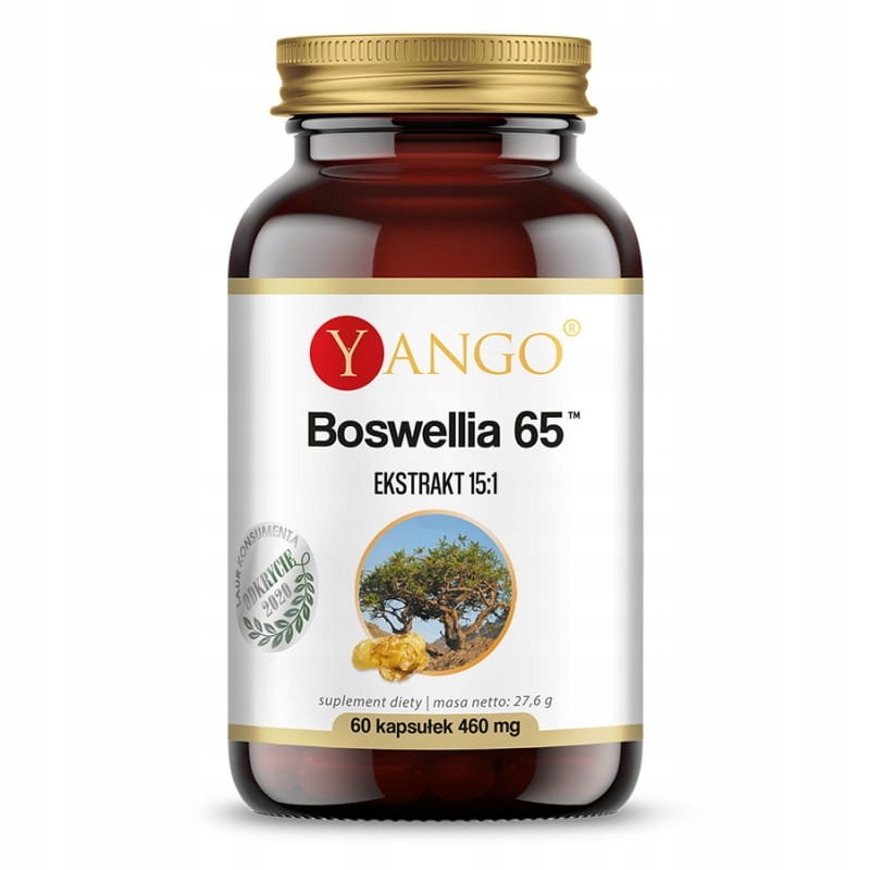 

Boswellia 65 Na Stawy I Układ Pokarmowy 50 Kaps