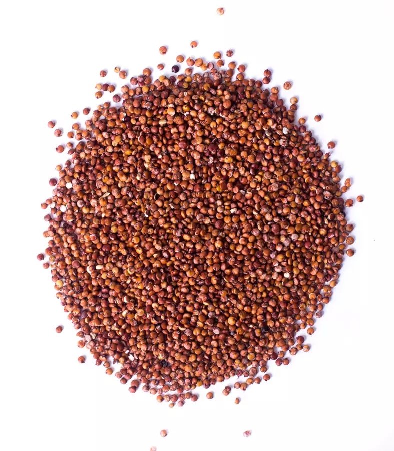 Komosa rýžová (quinoa) červená 5 kg sušená quinoa červená