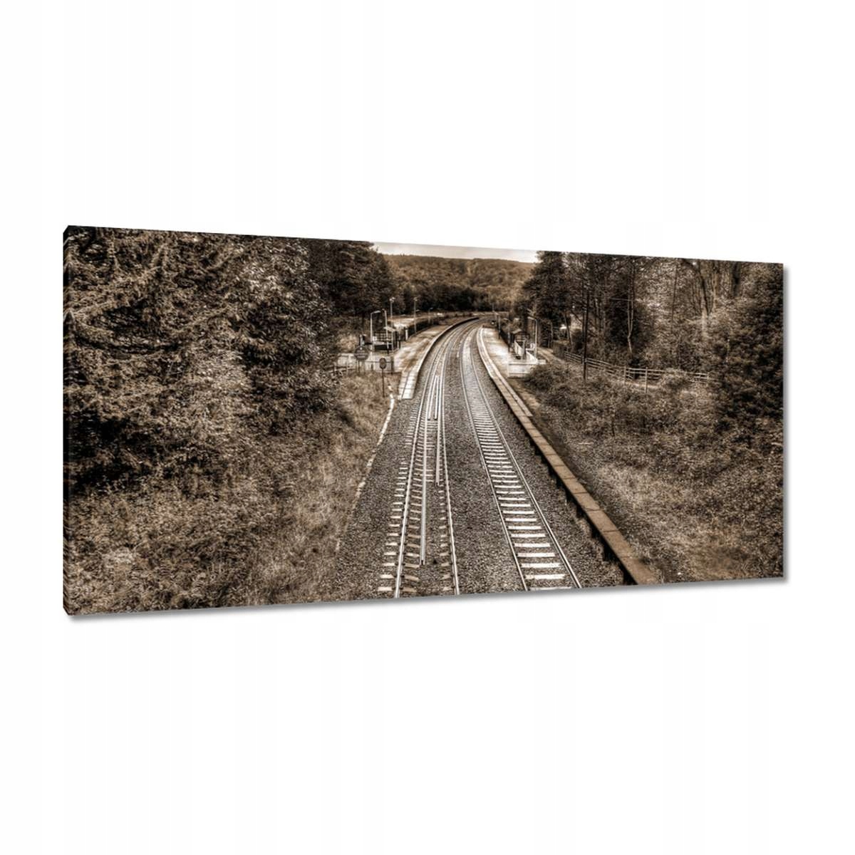 Obrazy 115x55 Tory fotografie v sépii