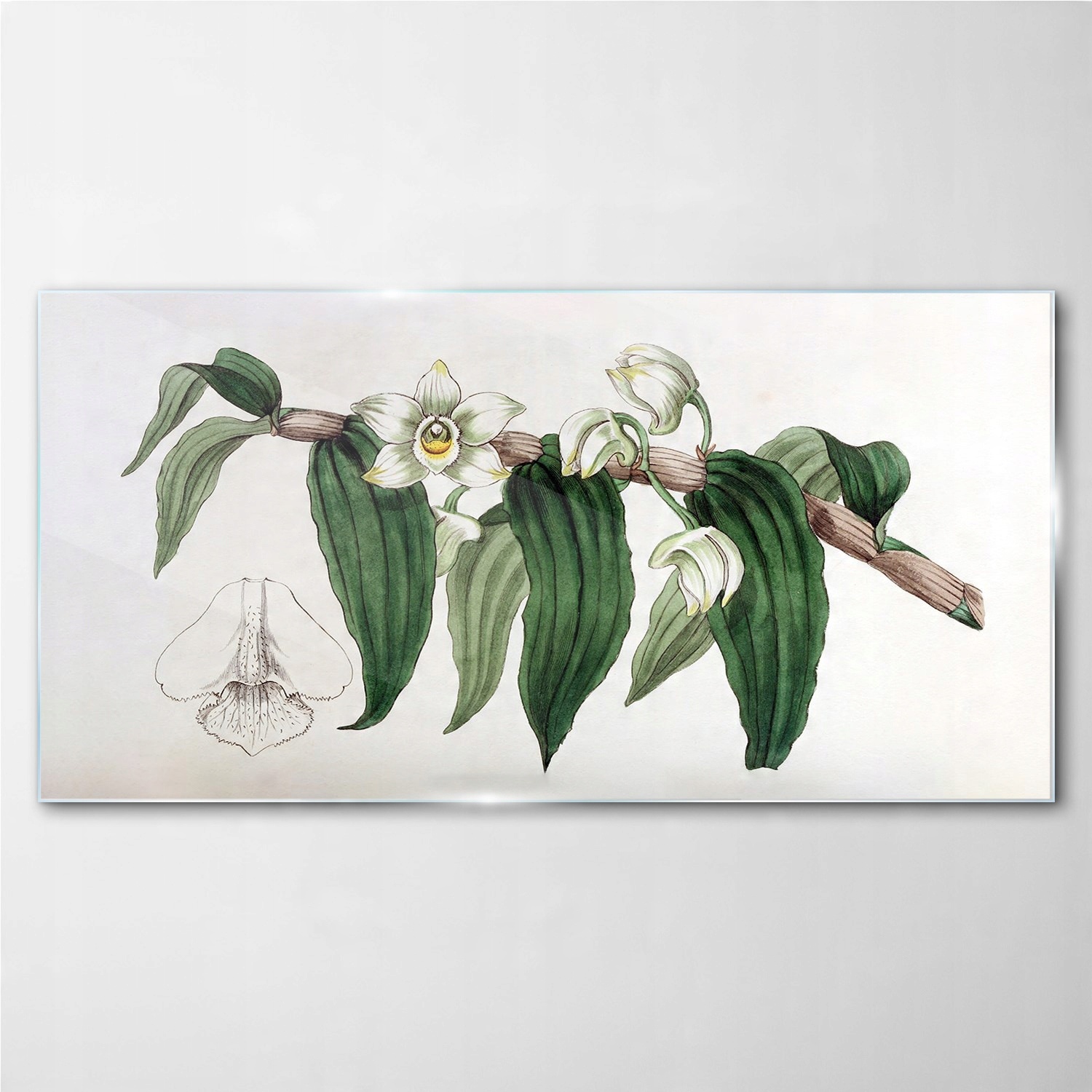 

Foto-obraz szklany Kwiat gałąź orchidea 140x70 cm