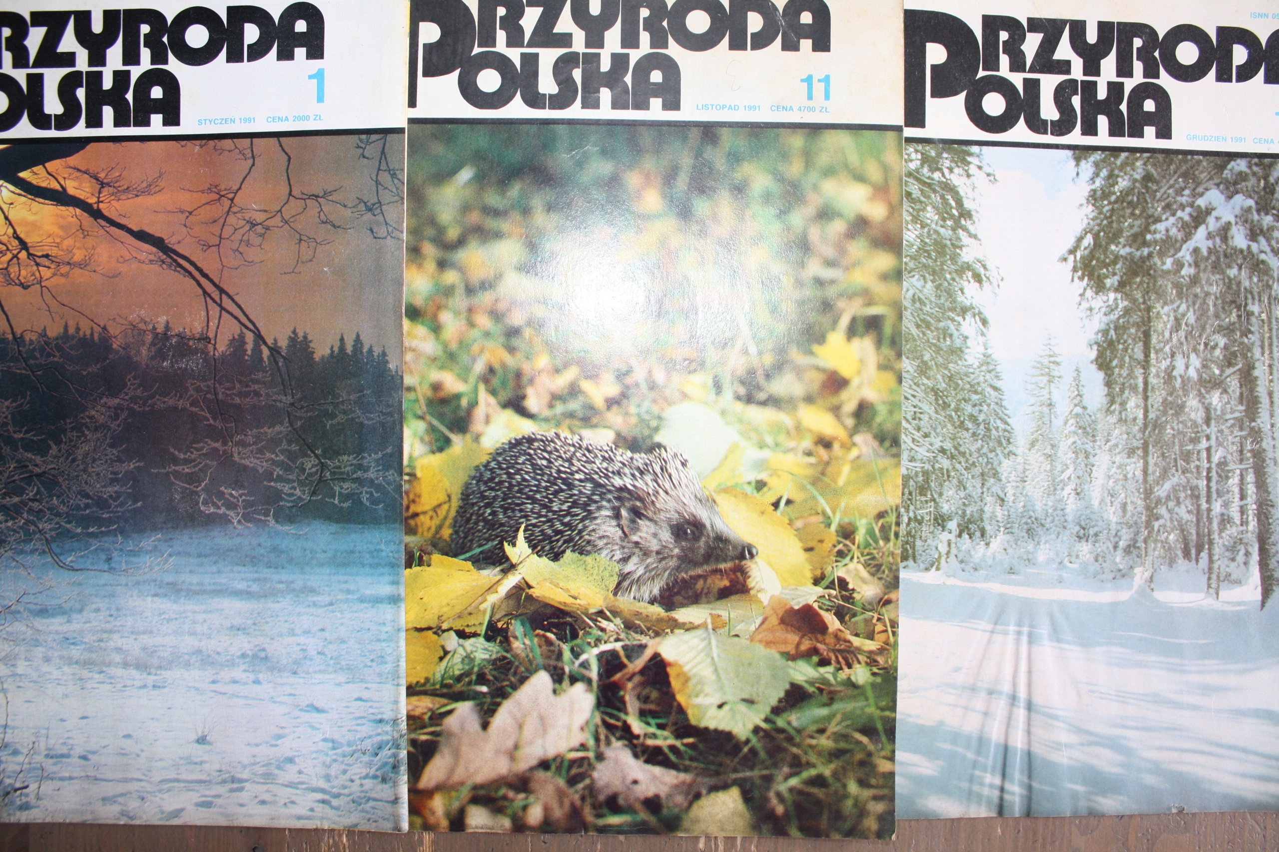 PRZYRODA POLSKA x 18 EGZ 1988-1991