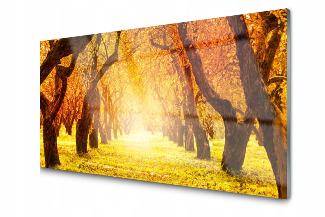 

Panel szklany Płytka Las Ścieżka Drzewa 140x70