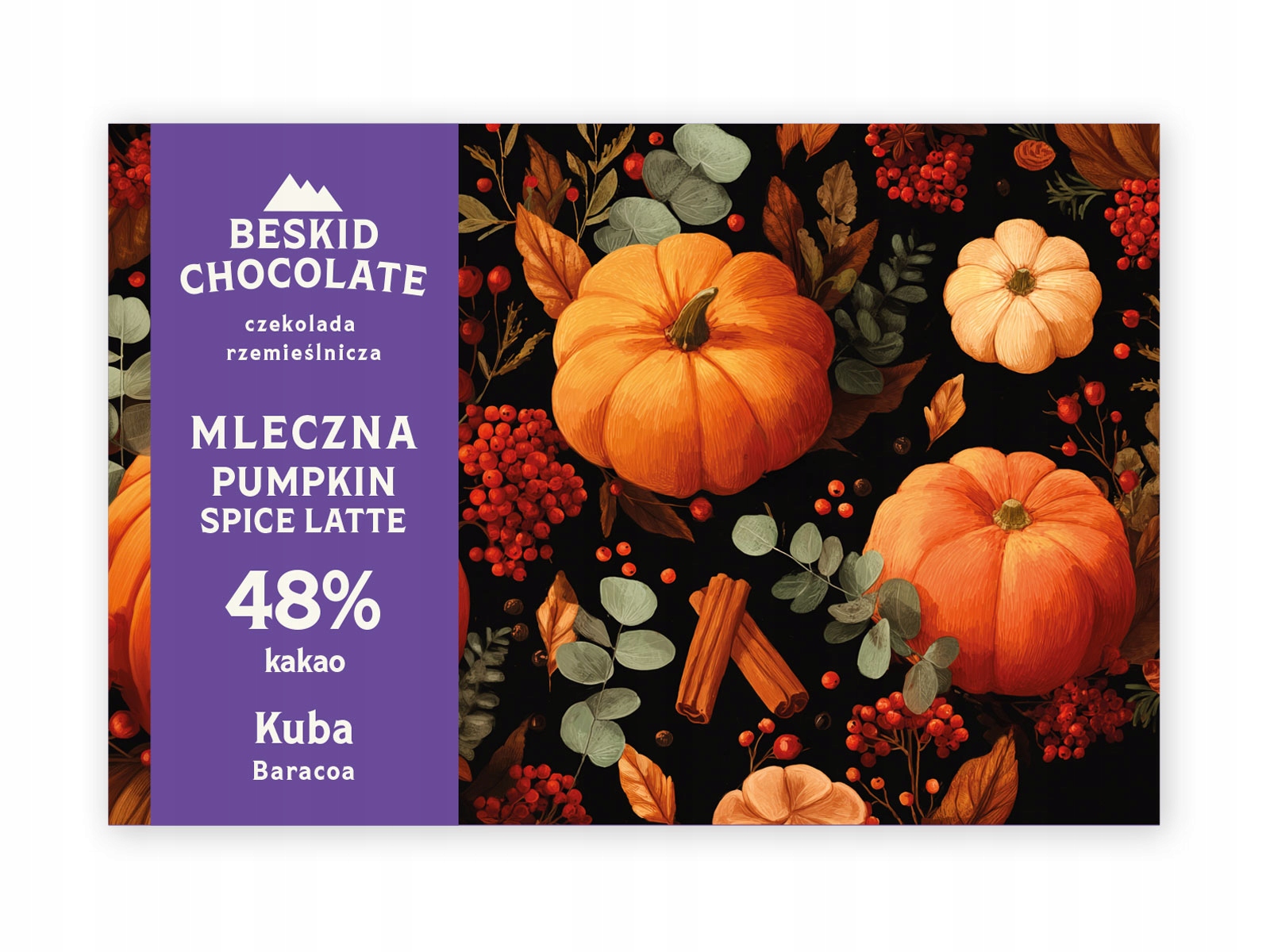 Levně 2x Beskid Chocolate Mléčná 48% Pumpkin Spice 70 g