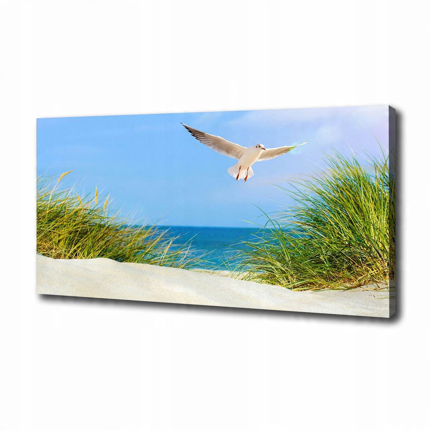 

Foto obraz na płótnie Mewa na plaży 100x50 cm