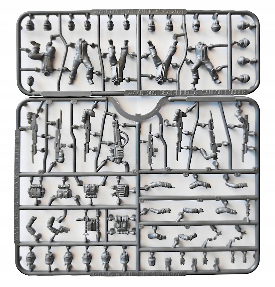 Cannon Fodder - 5 szt.
