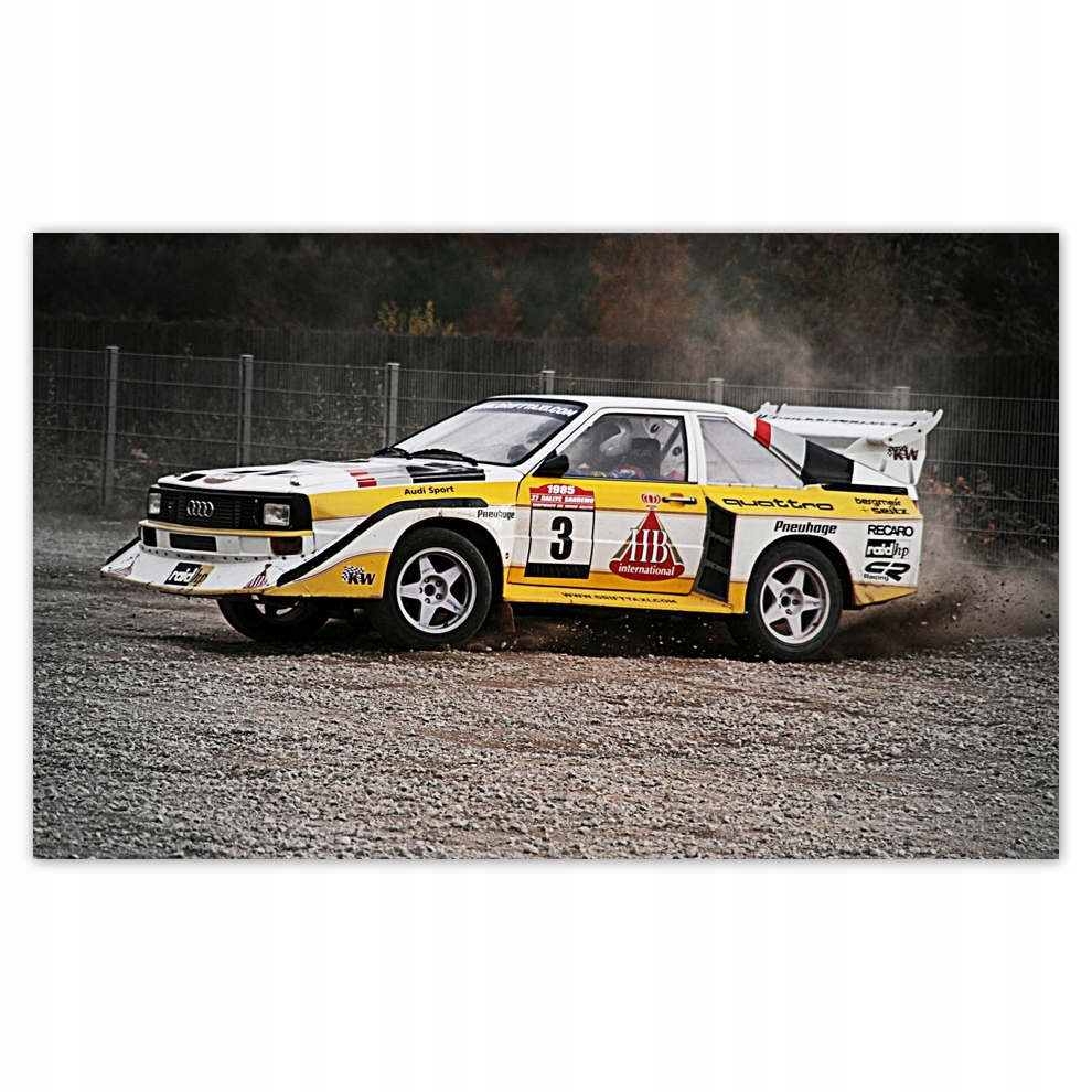 

Fototapety flizelina 416x254 Audi Quattro Drift