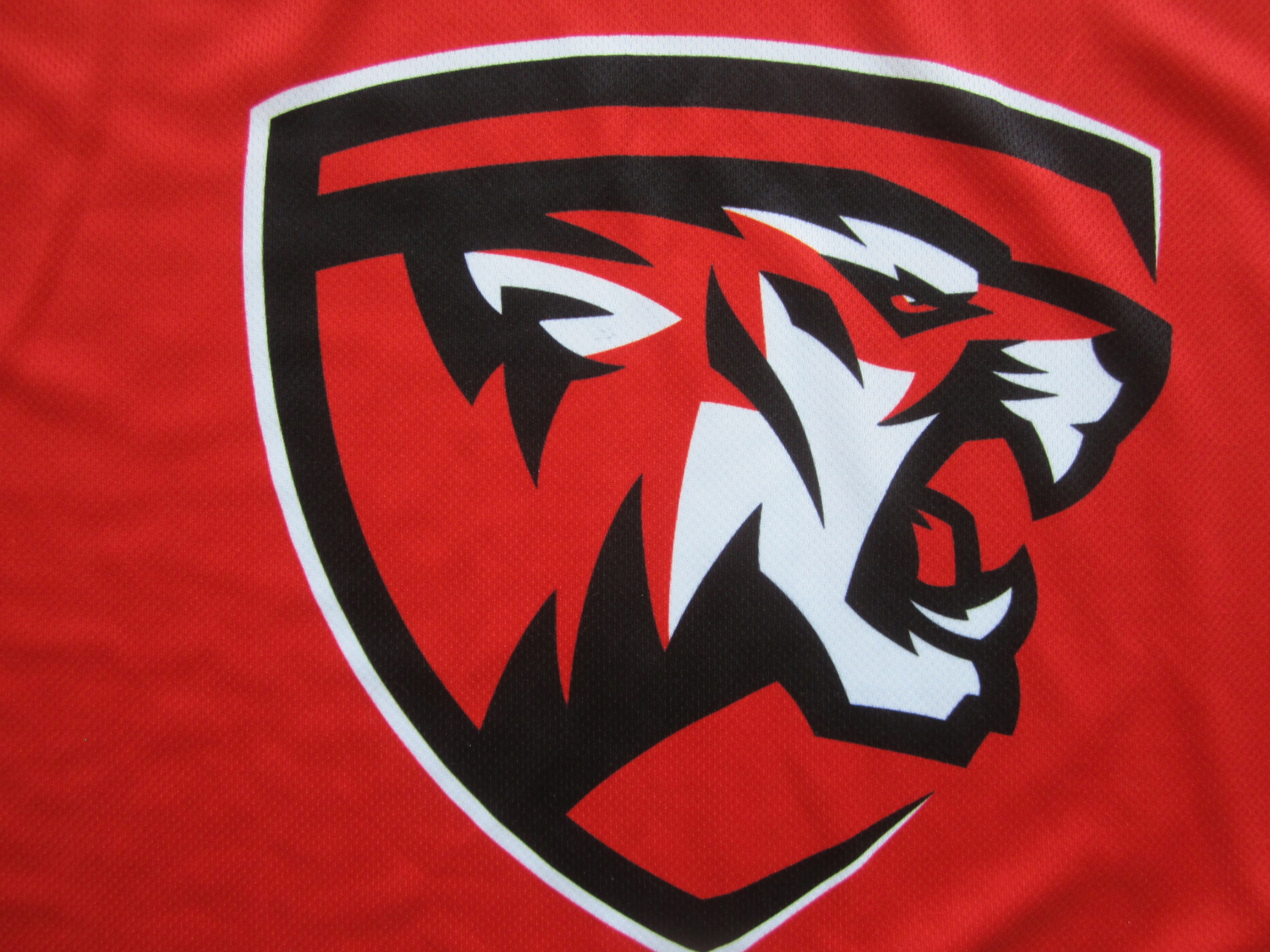 HOLLOWAY Baseball_L (40)_Tigers_No. 56 Marka inna