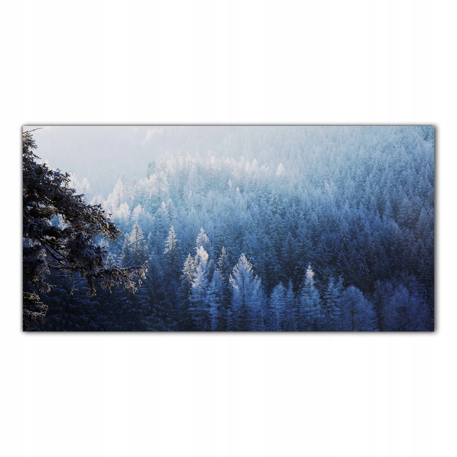 Les Zima Hory Sníh 140x70 Nástěnný panel do kuchyně