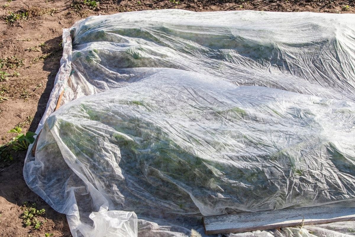 OKRYCIOWA WIOSENNA OTULINA ODYCHAJĄCA LEKKA NA ROŚLINY AGROWŁÓKNINA 3,2x20m Rodzaj okryciowa (zimowa-wiosenna)