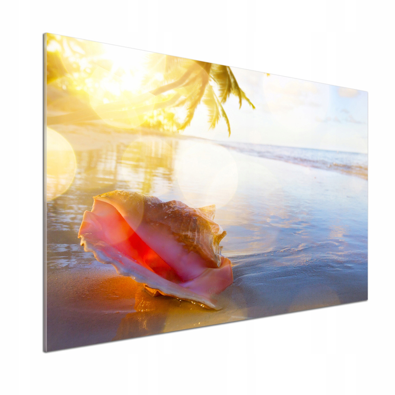 Panel do kuchyne Mušle na pláži 100 x 70 cm Lepidlo