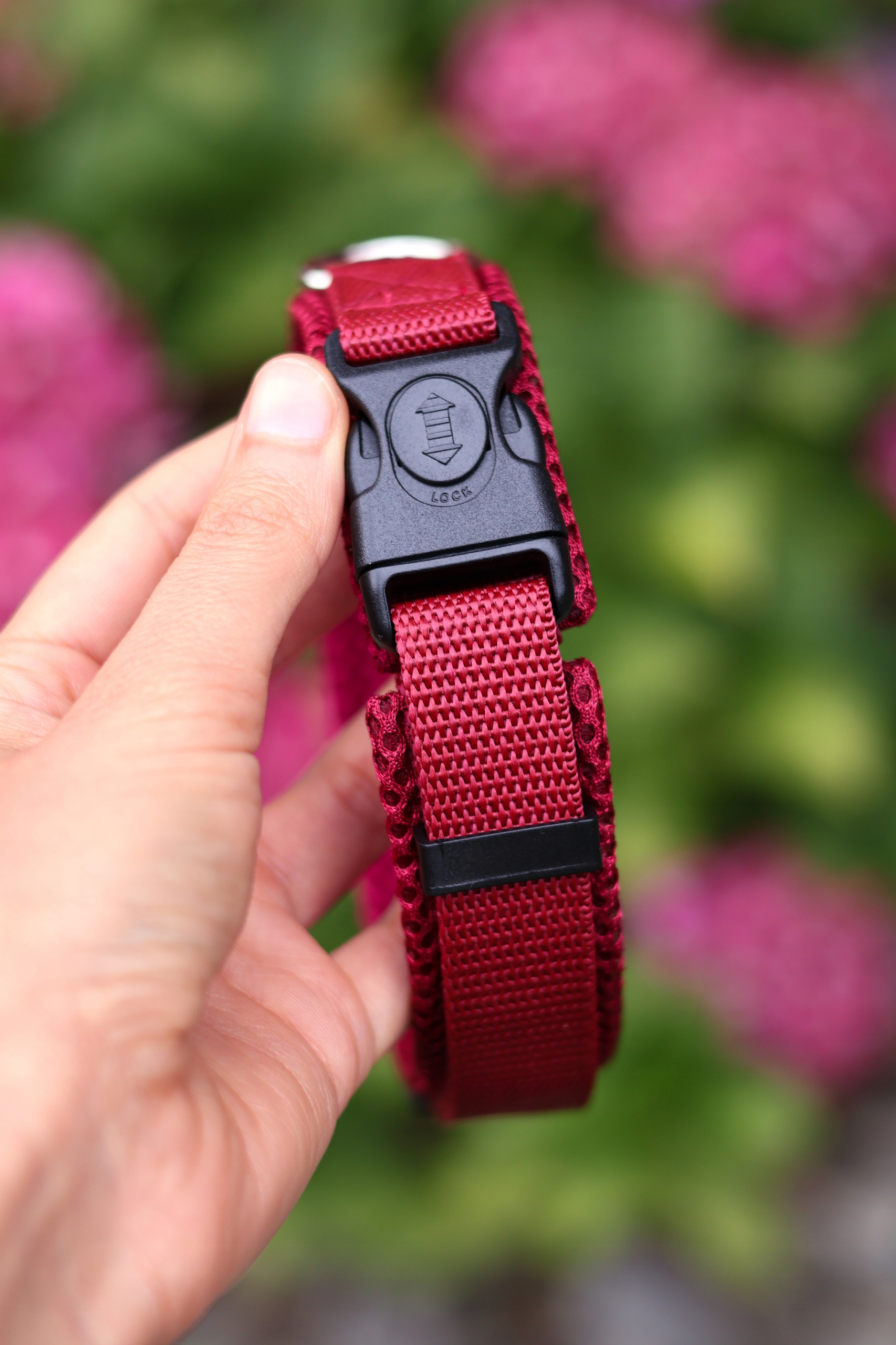 Levně Nastavitelný obojek pro psa s podšívkou 2.5 cm – Comfort Mesh