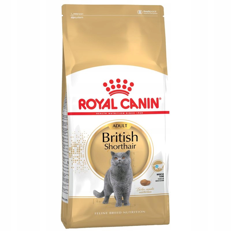 krmivo pro britské krátkosrsté pro kočky Royal Canin 4 kg