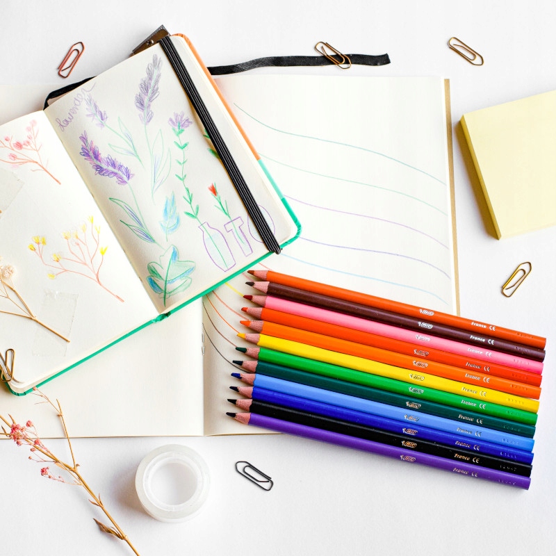 BIC INTENSITY UP TRÓJKĄTNE KREDKI OŁÓWKOWE ZESTAW DLA DZIECI SZKOLNE x12 Rodzaj ołówkowe