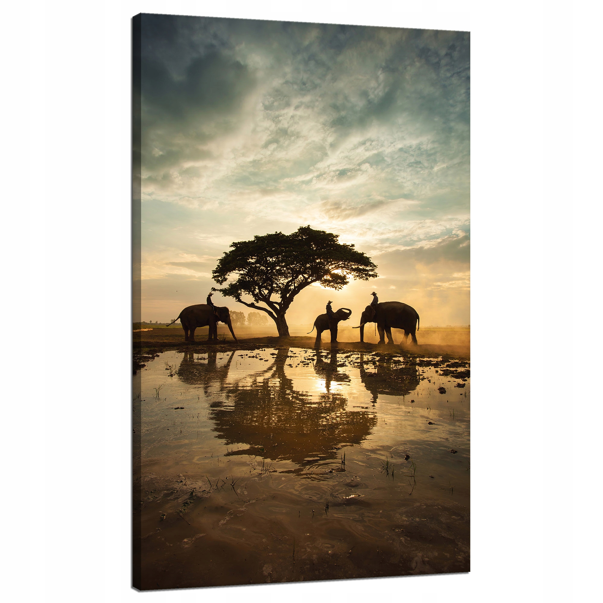 Obraz na plátně Lidé na slonech při západu slunce 70 x 120 cm