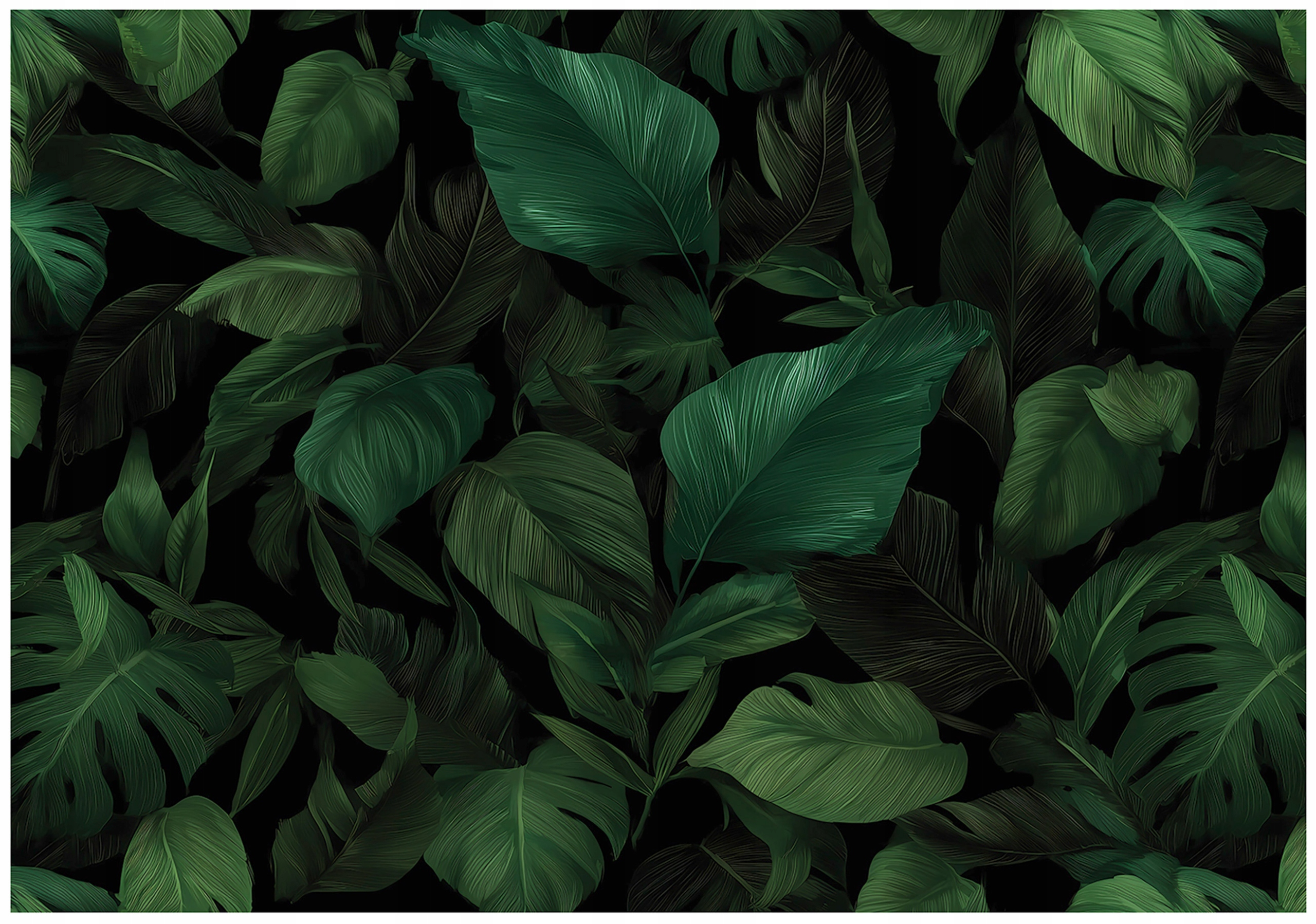 Fototapeta Listy Příroda Zelená Černá Tropická Botanická 300x210