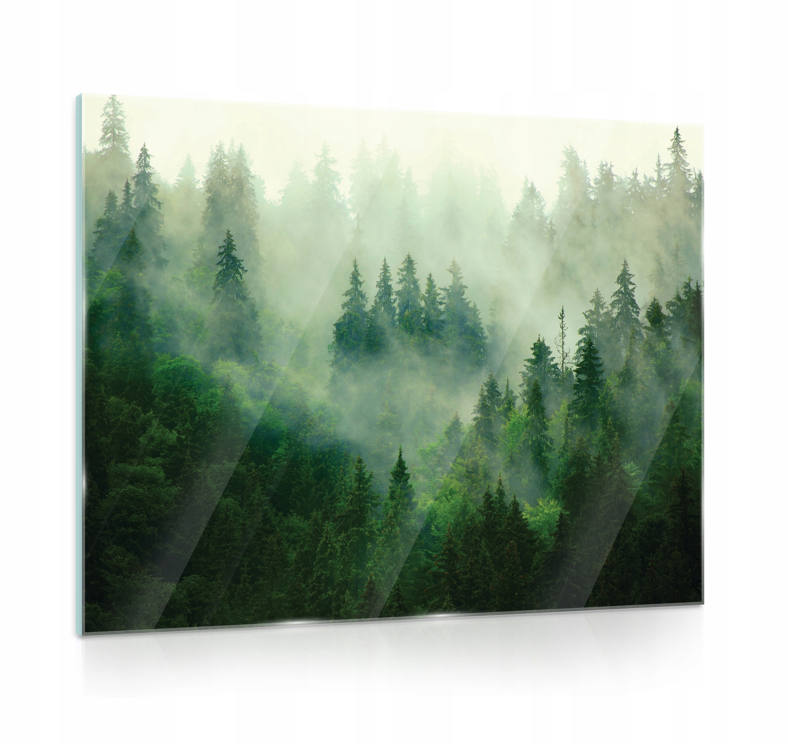 Obraz na skle do koupelny Les Mlha 80x60