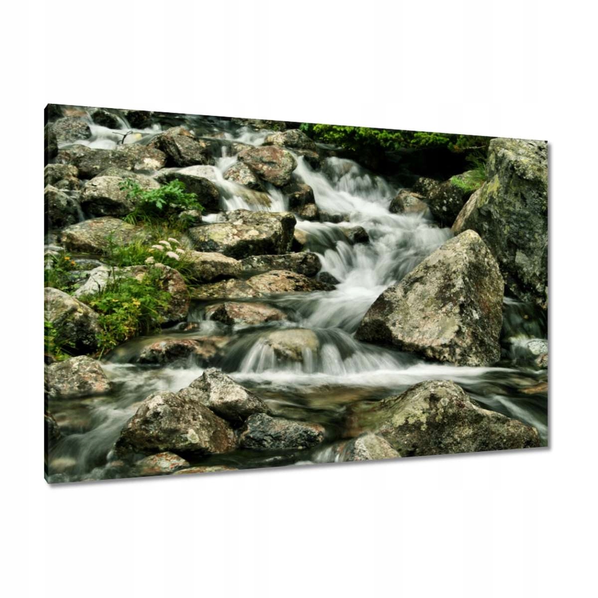 Obrazy 120x80 Tatranský potůček