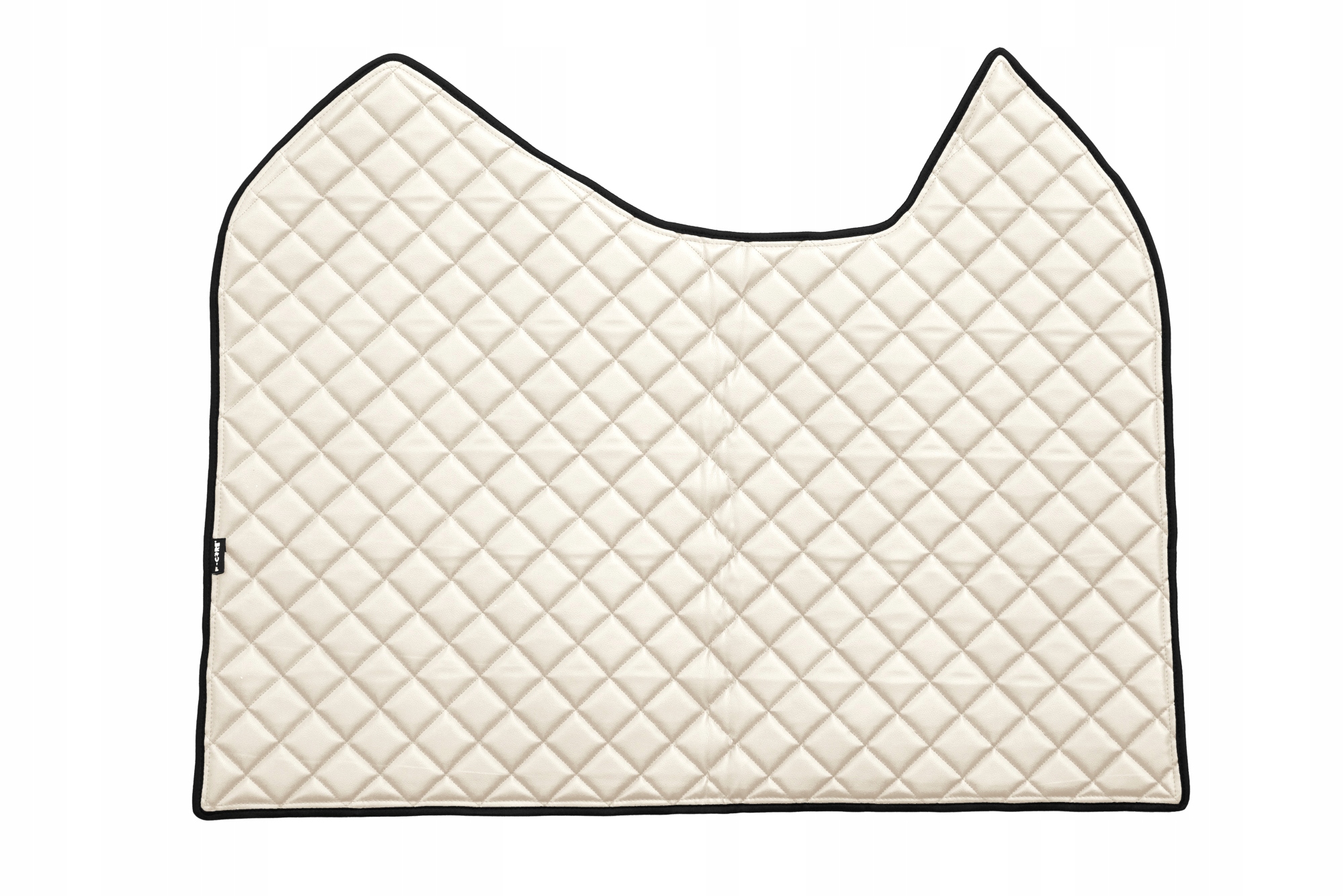 Килимок TIR MERCEDES ACTROS MP4