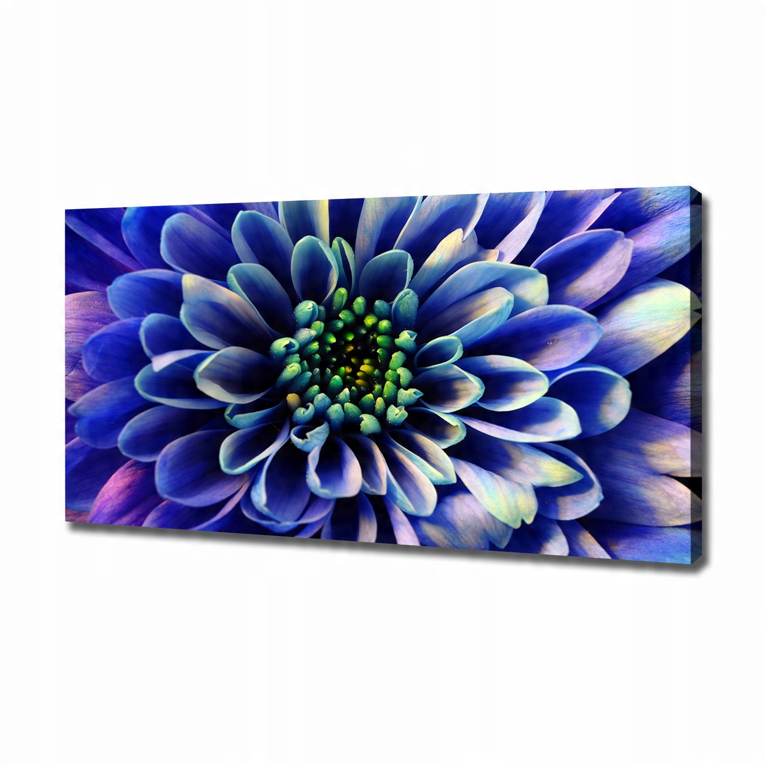 

Foto obraz ze zdjęcia do salonu Aster 120x60 cm