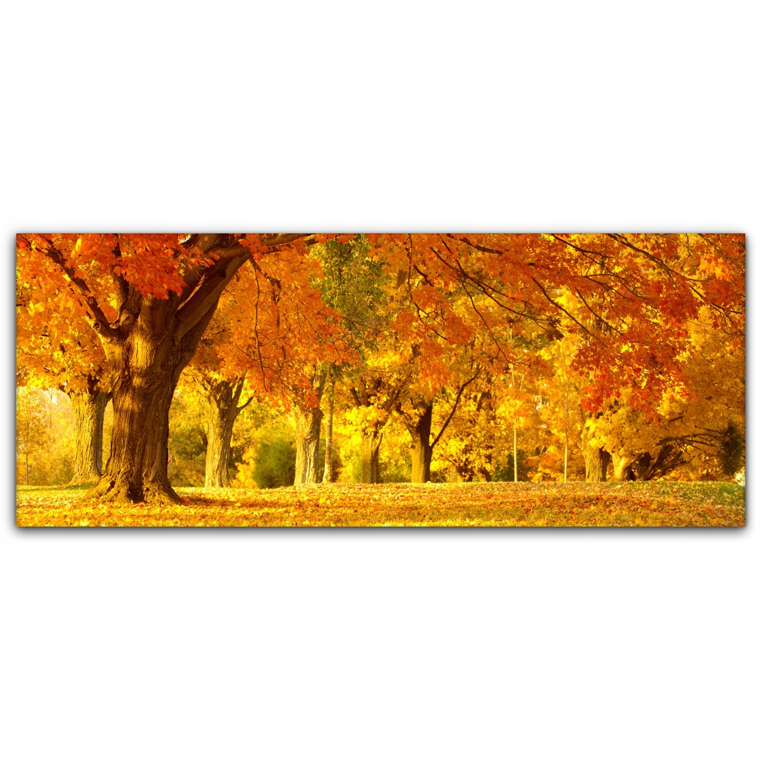 

Obraz Canvas dekoracja 125x50 Jesień Las Krajobraz