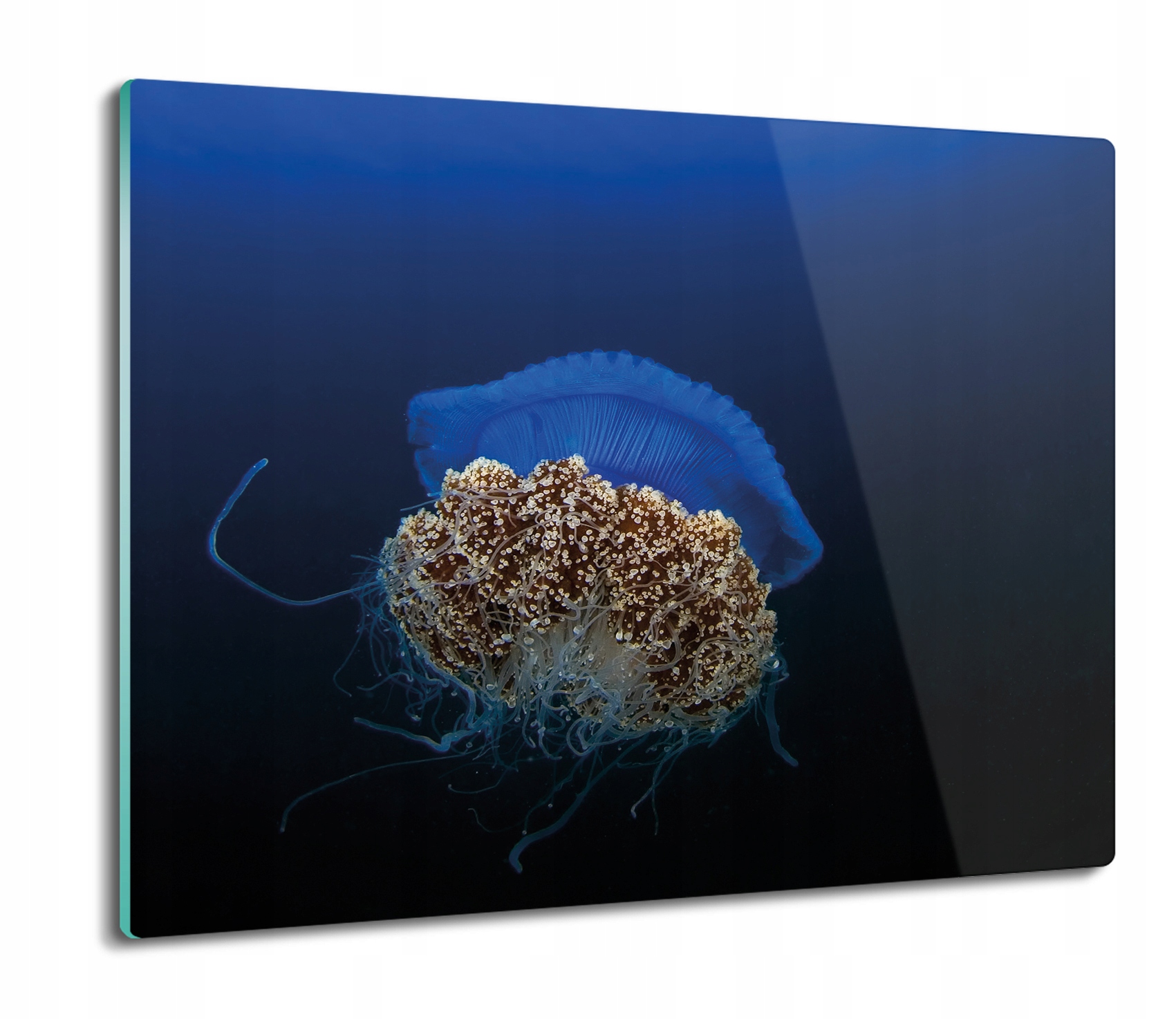 

Meduza woda ocean 60x52 deska podkładka kuchenna