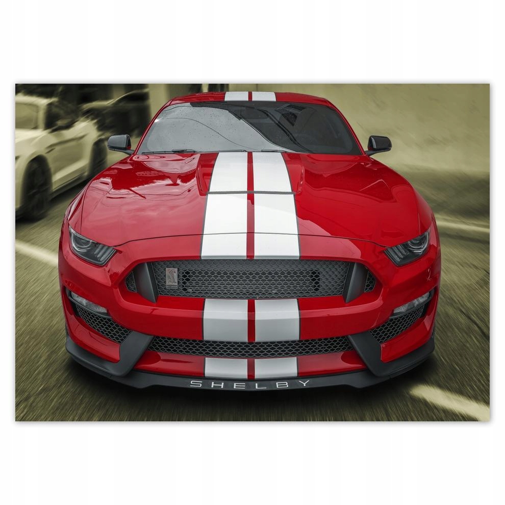 

Naklejki 70x50 GT350 Ford Mustang Shelby