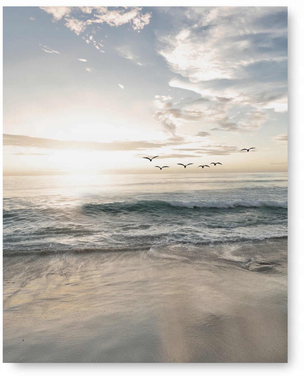 

Plaża Ptaki plakat obraz 40x50 cm #115