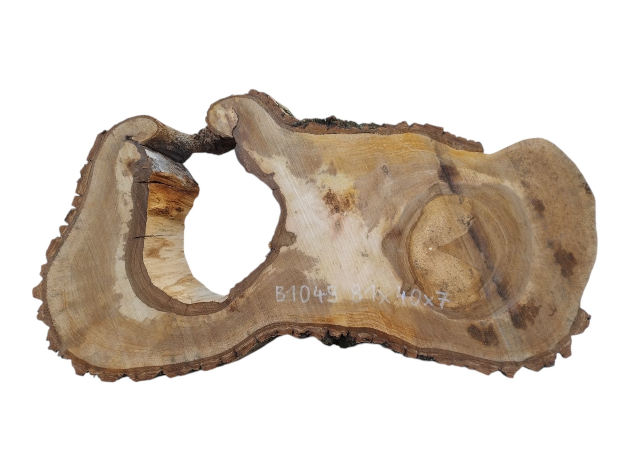 Plaster Drewna Orzech Włoski 81x40x7cm Patera Blat Stolik