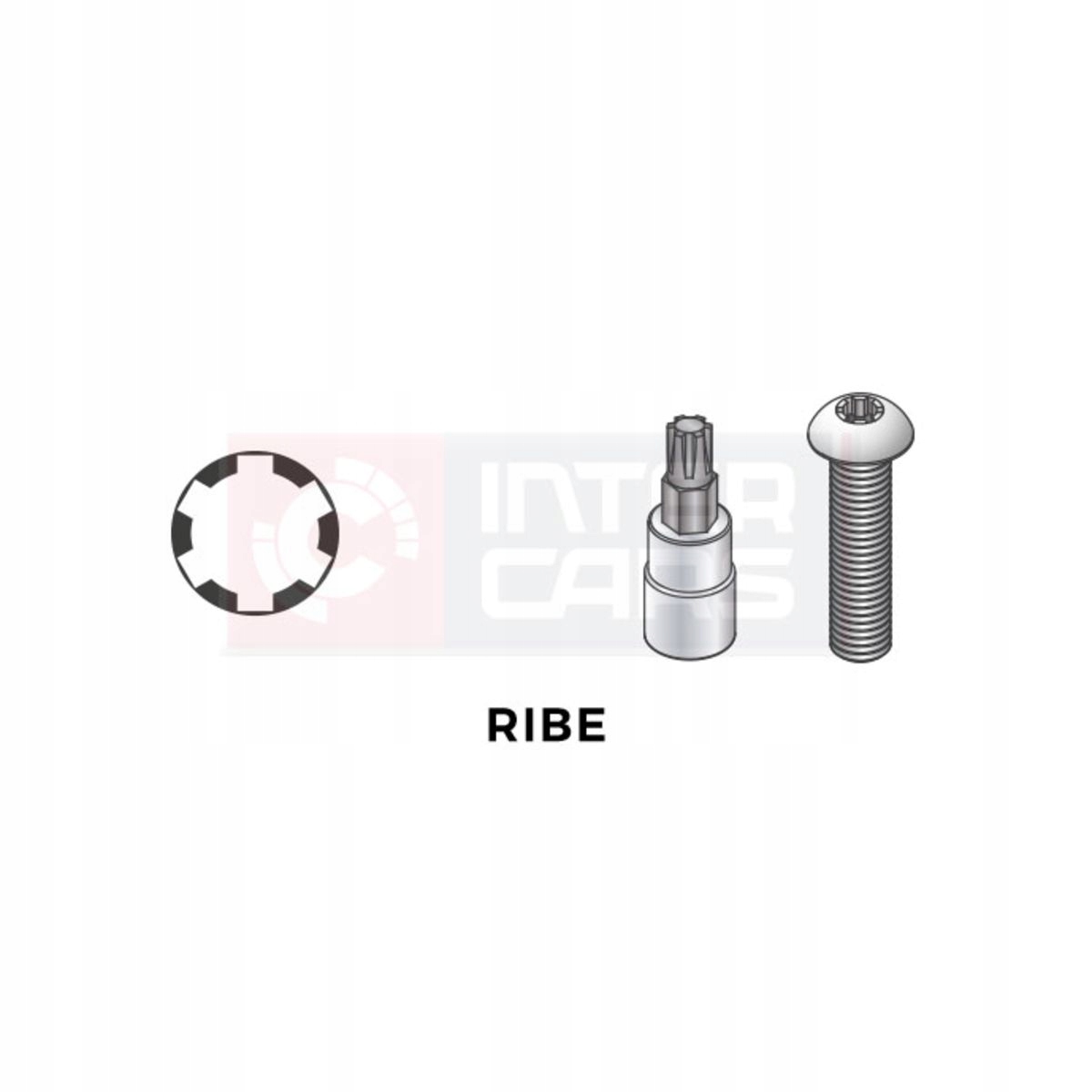 NASADKA TRZPIENIOWA 1/2'' RIBE M12 TOPTUL BCQA1612 Liczba elementów pojedyncze