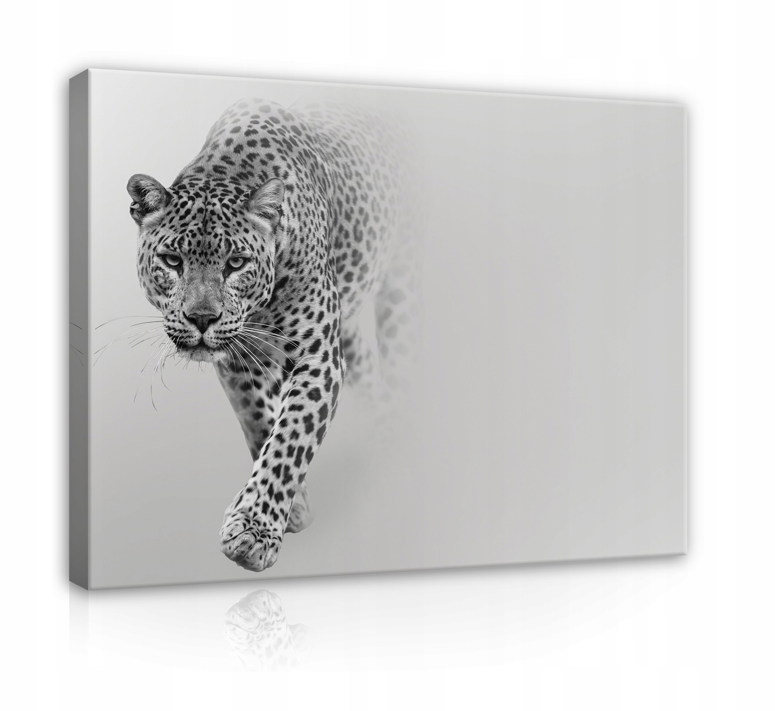 

Obraz Do Salonu Tygrys Lampart Gepard Kot 100x70