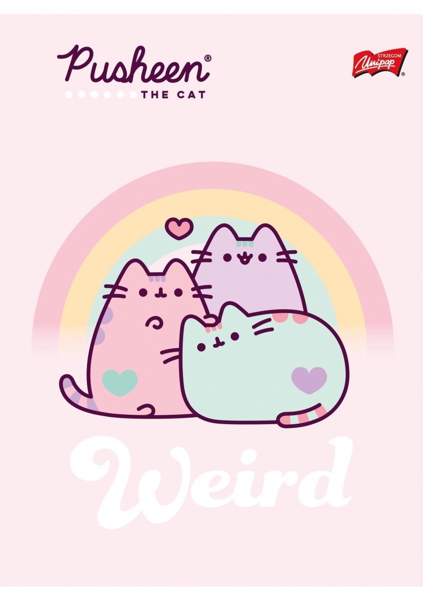 4x Zeszyt A5 w kratkę 32 kartki PUSHEEN Kot Kotek PUSZIN Format A5