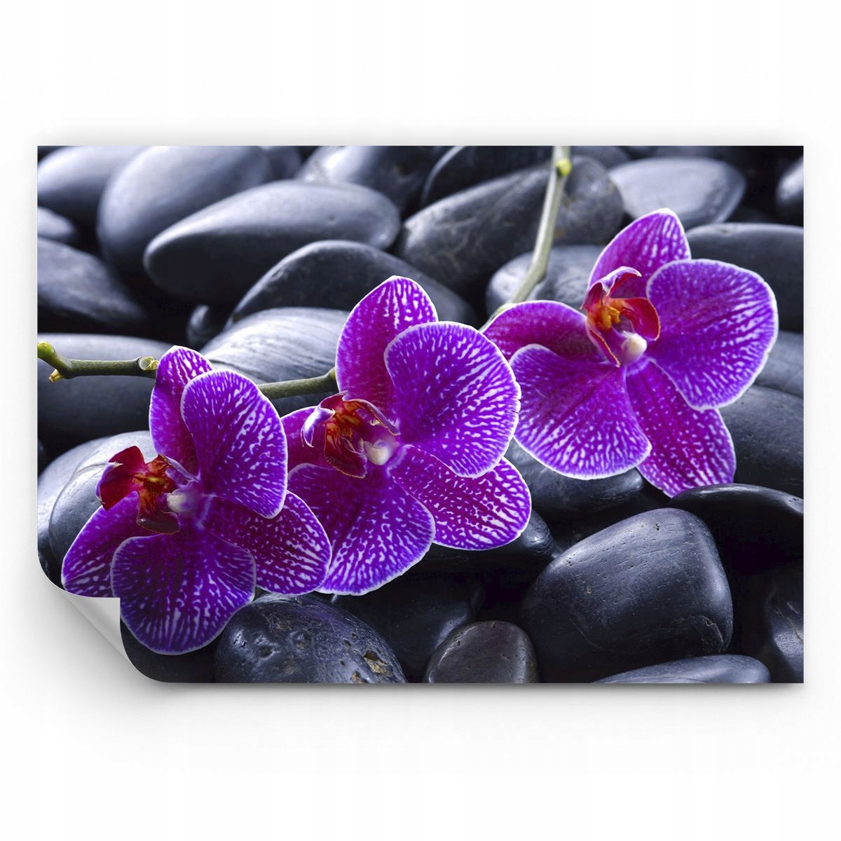 Fototapeta Kwiaty Tapeta Na Ścianę Do Sypialni Salonu 350x256 Ps