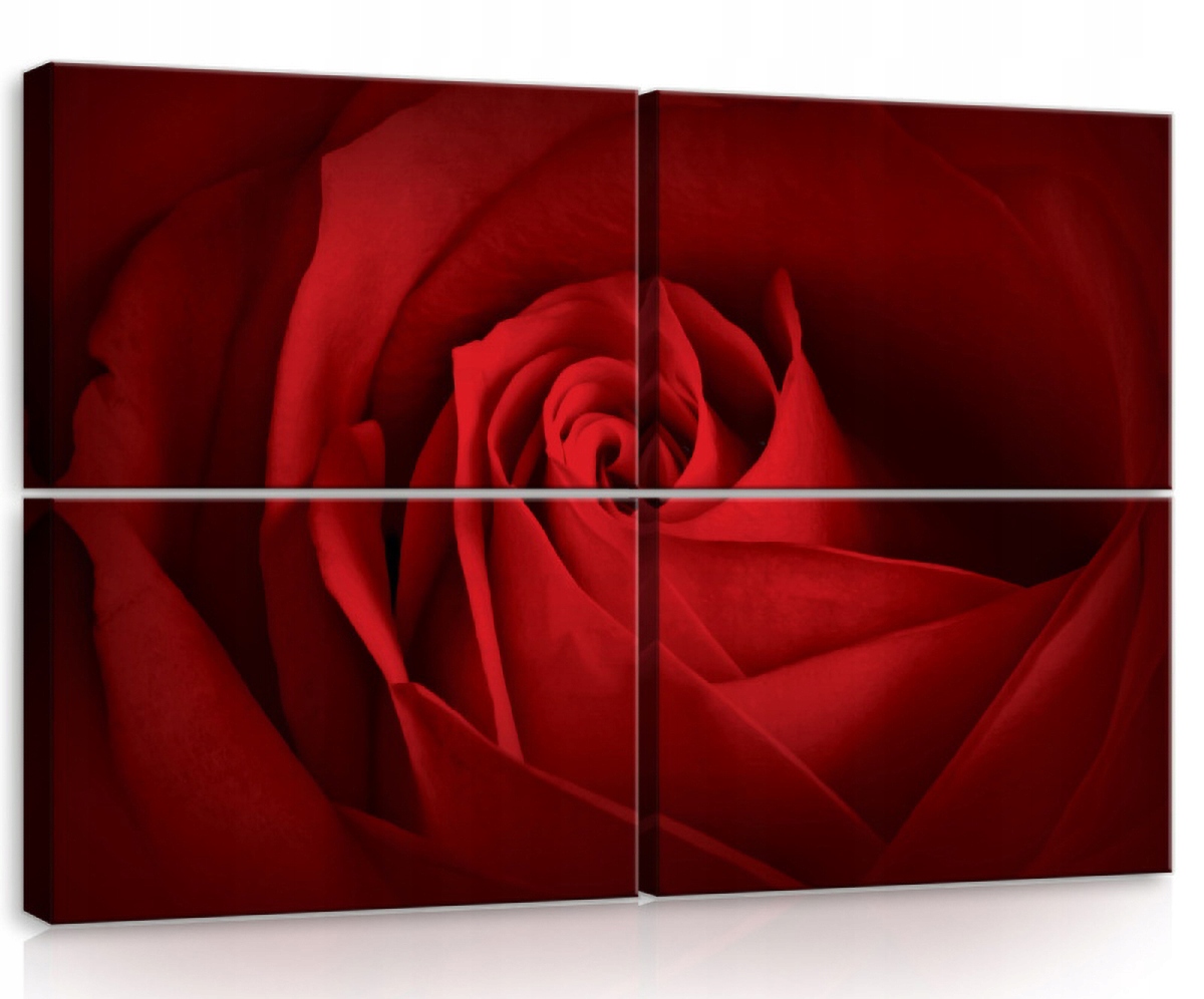 Obraz Na Plátne Canvas 120x80 Červená Ruža Kvet Príroda