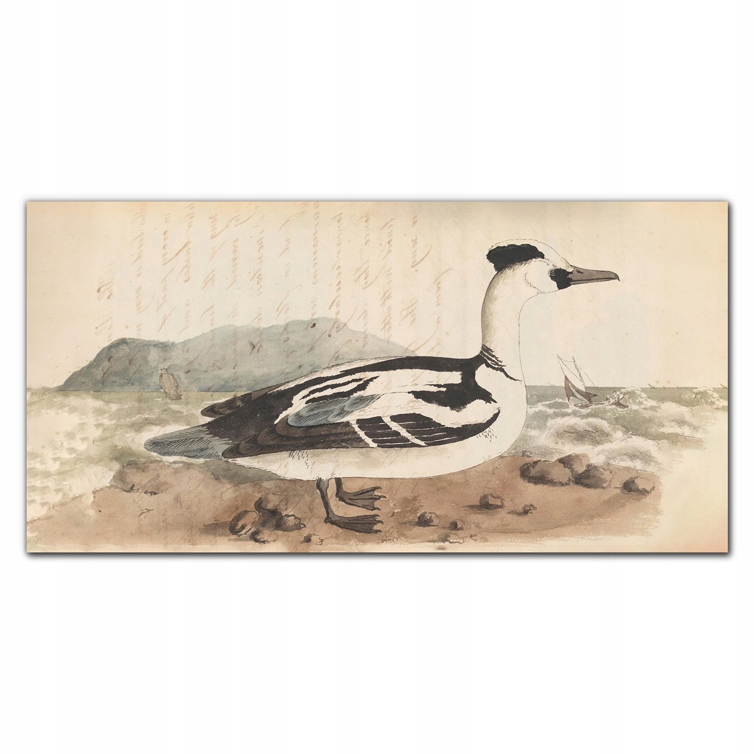 

Szkło hartowane do kuchni Ptak rysunek 100x50 cm