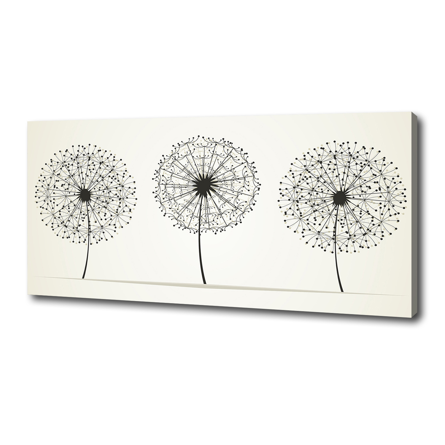 

Foto obraz canvas na ścianę Dmuchawce 125x50 cm