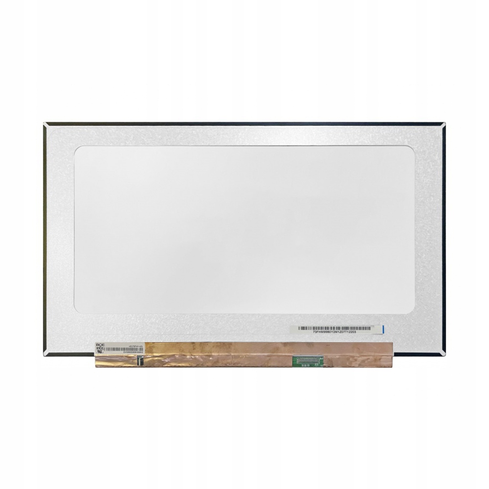 Auo B173HAN05.0 B173HAN05.1 B173HAN05.4 B173HAN05.5 Matná Fhd Ips 240Hz