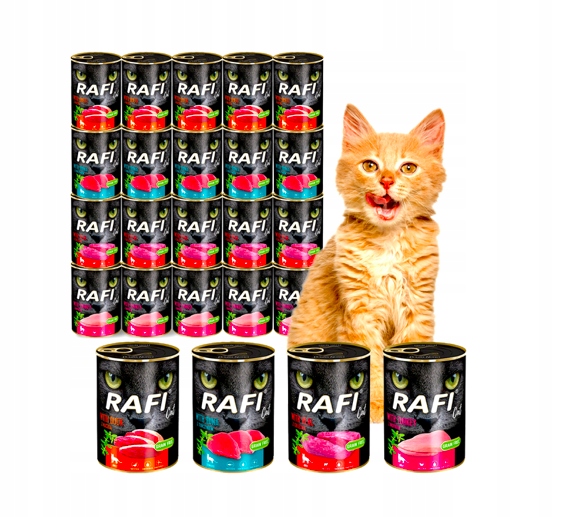 Levně Mokré krmivo pro kočky Rafi mix chutí 9,6 kg