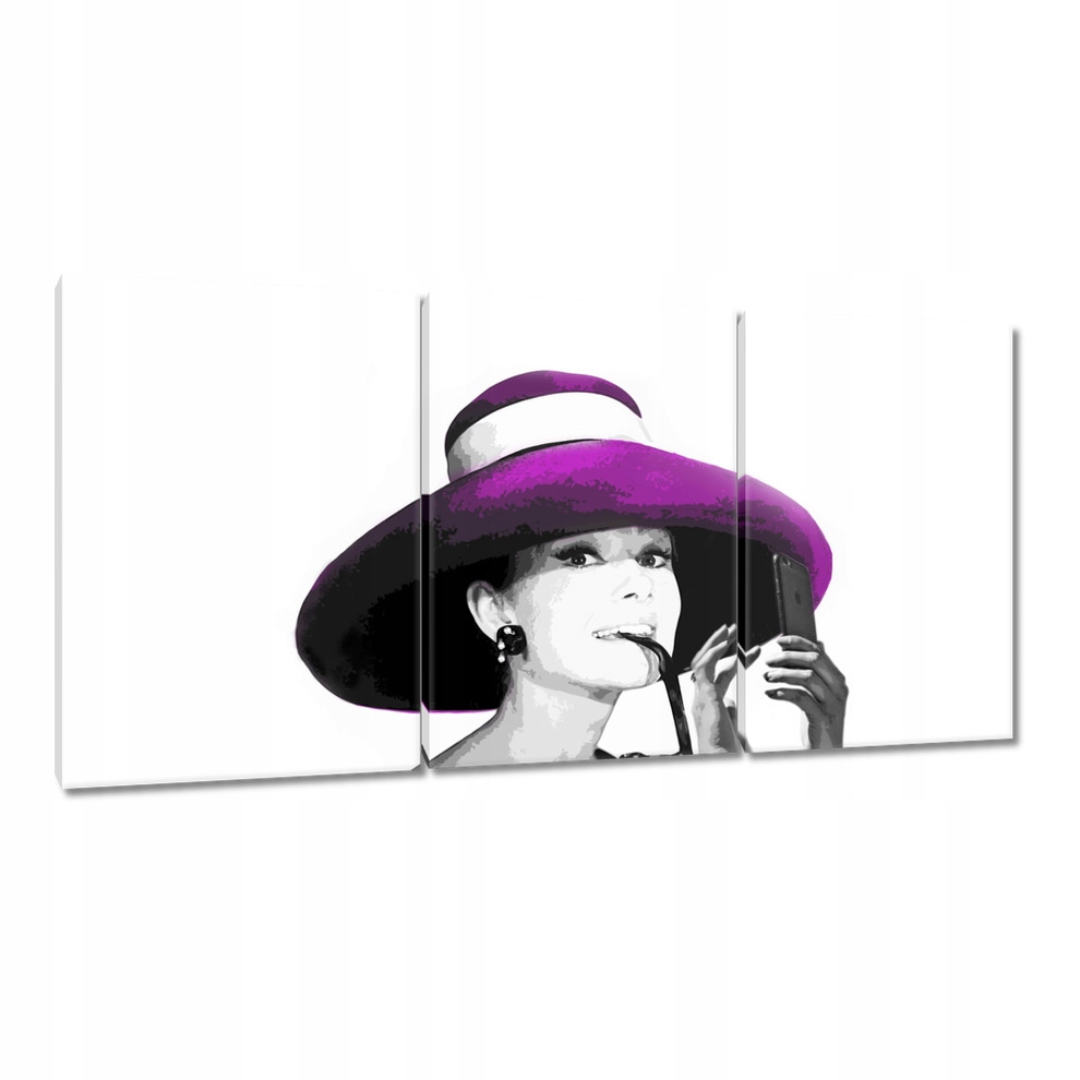 

Obrazy 120x60 Selfie Audrey Hepburn